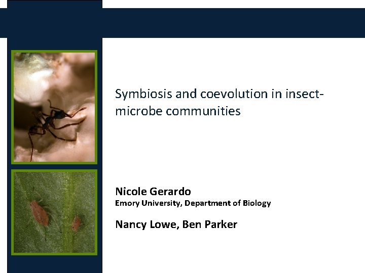 Symbiosis and coevolution in insectmicrobe communities Nicole Gerardo Emory University, Department of Biology Nancy