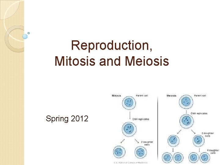 Reproduction, Mitosis and Meiosis Spring 2012 