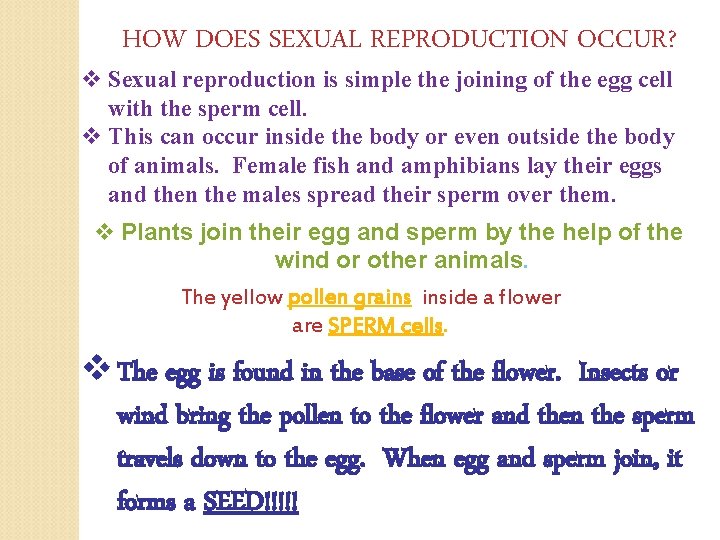 HOW DOES SEXUAL REPRODUCTION OCCUR? v Sexual reproduction is simple the joining of the