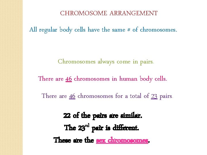 CHROMOSOME ARRANGEMENT All regular body cells have the same # of chromosomes. Chromosomes always