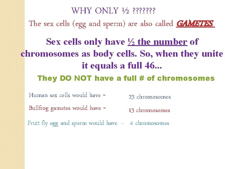 WHY ONLY ½ ? ? ? ? The sex cells (egg and sperm) are