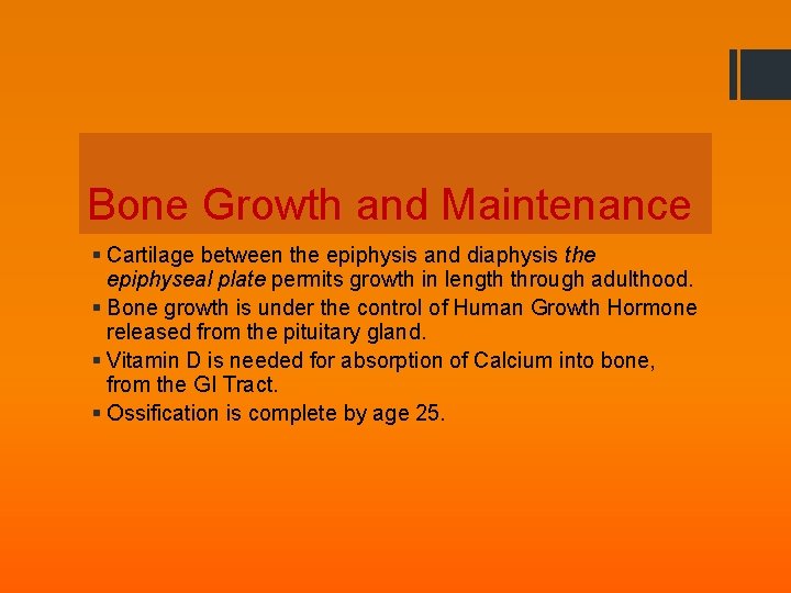 Bone Growth and Maintenance § Cartilage between the epiphysis and diaphysis the epiphyseal plate