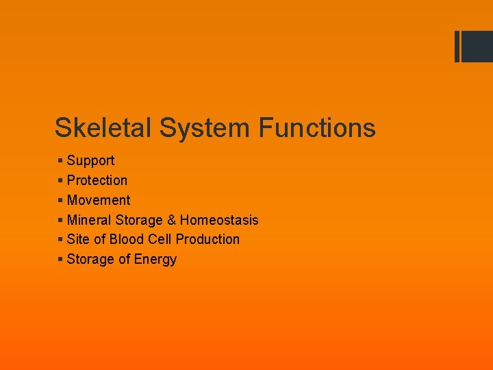 Skeletal System Functions § Support § Protection § Movement § Mineral Storage & Homeostasis