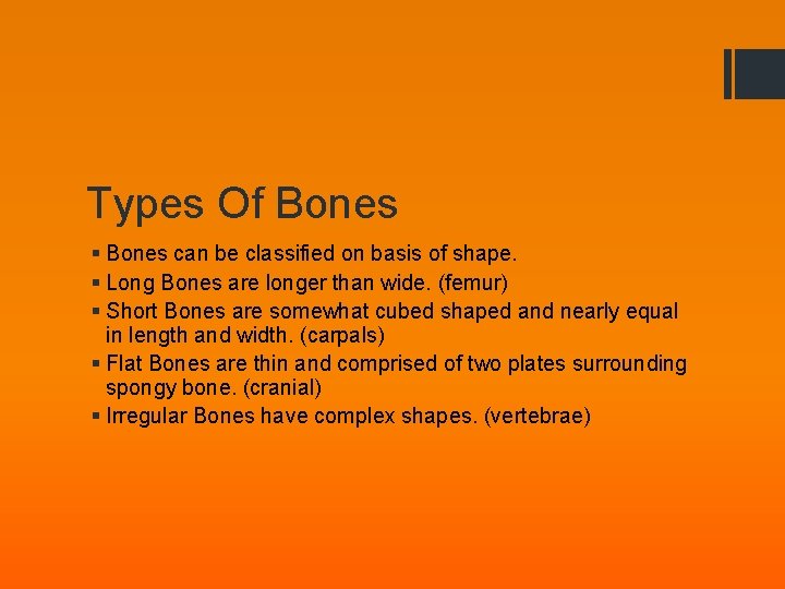 Types Of Bones § Bones can be classified on basis of shape. § Long