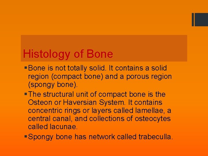 Histology of Bone § Bone is not totally solid. It contains a solid region