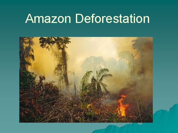 Amazon Deforestation 