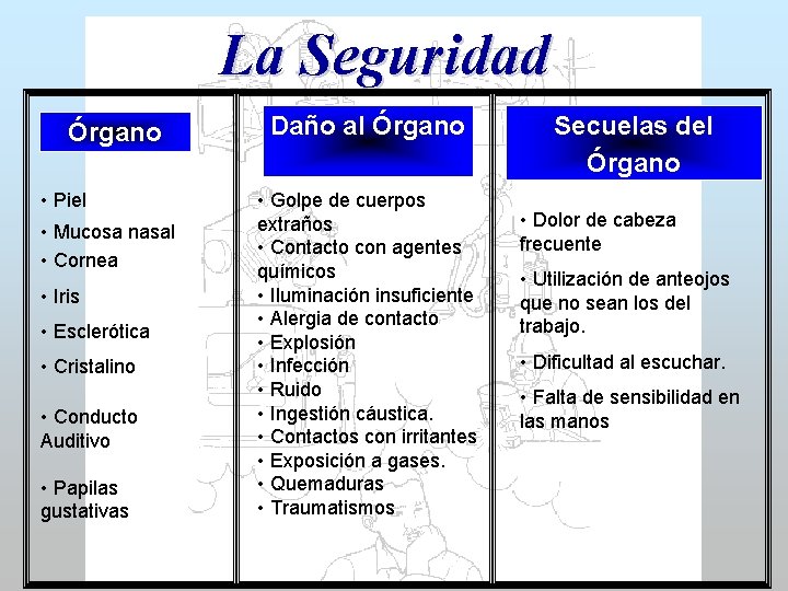 La Seguridad Órgano • Piel • Mucosa nasal • Cornea • Iris • Esclerótica