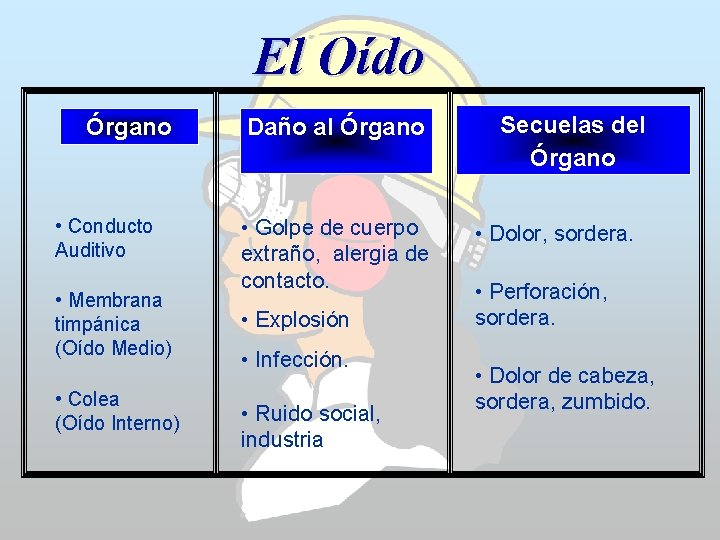 El Oído Órgano • Conducto Auditivo • Membrana timpánica (Oído Medio) • Colea (Oído