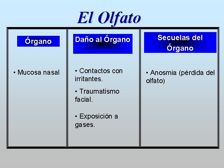 El Olfato Órgano • Mucosa nasal Daño al Órgano • Contactos con irritantes. •