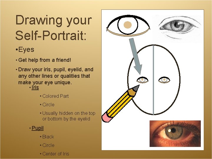Drawing your Self-Portrait: • Eyes • Get help from a friend! • Draw your Drawing your Self-Portrait: • Eyes • Get help from a friend! • Draw your