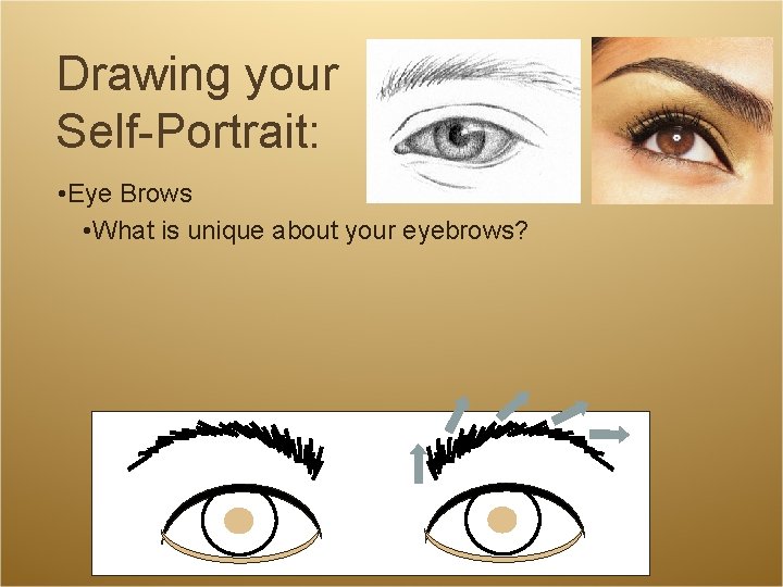 Drawing your Self-Portrait: • Eye Brows • What is unique about your eyebrows? Drawing your Self-Portrait: • Eye Brows • What is unique about your eyebrows?