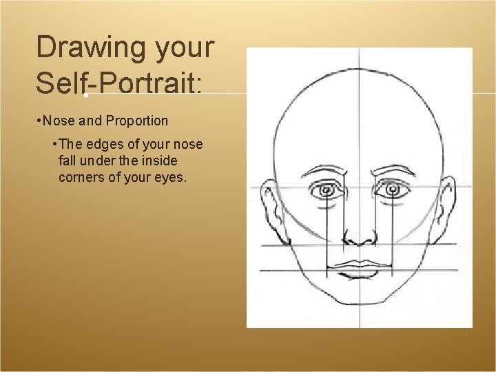 Drawing your Self-Portrait: • Nose and Proportion • The edges of your nose fall Drawing your Self-Portrait: • Nose and Proportion • The edges of your nose fall