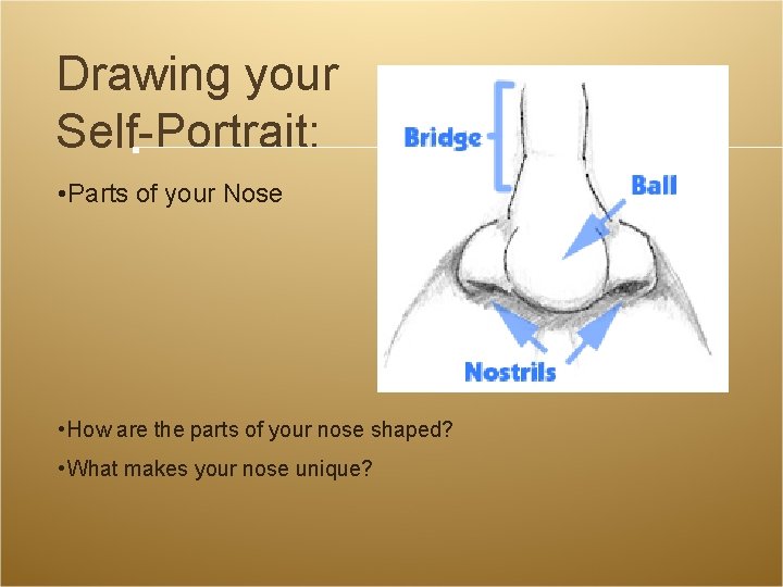 Drawing your Self-Portrait: • Parts of your Nose • How are the parts of Drawing your Self-Portrait: • Parts of your Nose • How are the parts of