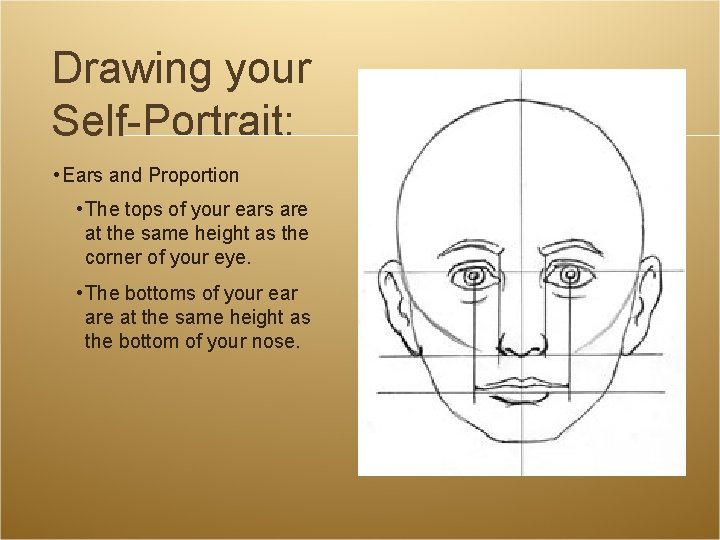 Drawing your Self-Portrait: • Ears and Proportion • The tops of your ears are Drawing your Self-Portrait: • Ears and Proportion • The tops of your ears are