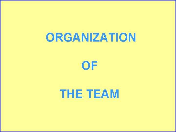 ORGANIZATION OF THE TEAM 