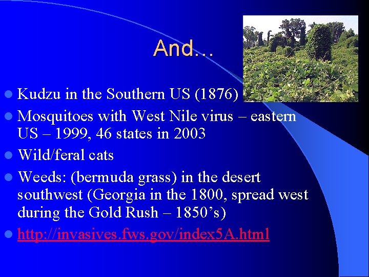 And… l Kudzu in the Southern US (1876) l Mosquitoes with West Nile virus