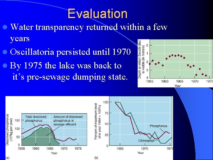 l Water Evaluation transparency returned within a few years l Oscillatoria persisted until 1970