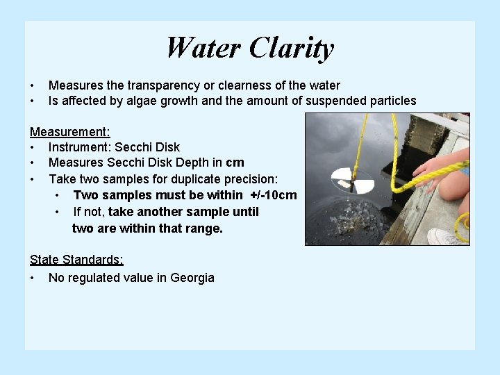 Water Clarity • • Measures the transparency or clearness of the water Is affected