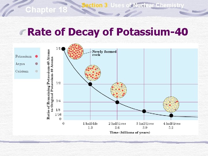 Chapter 18 Section 3 Uses of Nuclear Chemistry Rate of Decay of Potassium-40 