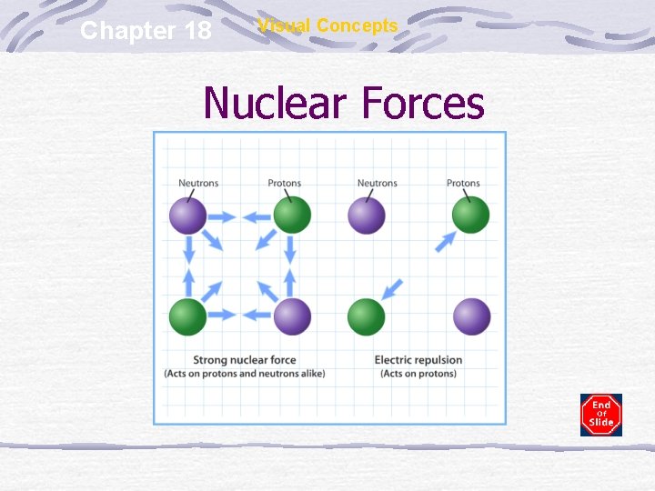 Chapter 18 Visual Concepts Nuclear Forces 