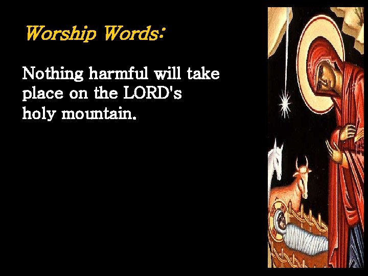 Worship Words: Nothing harmful will take place on the LORD's holy mountain. 