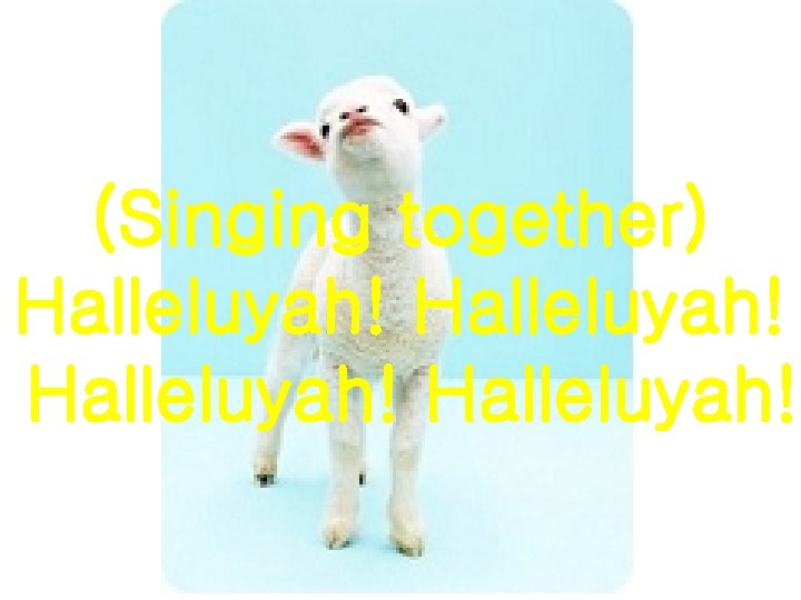 (Singing together) Halleluyah! 