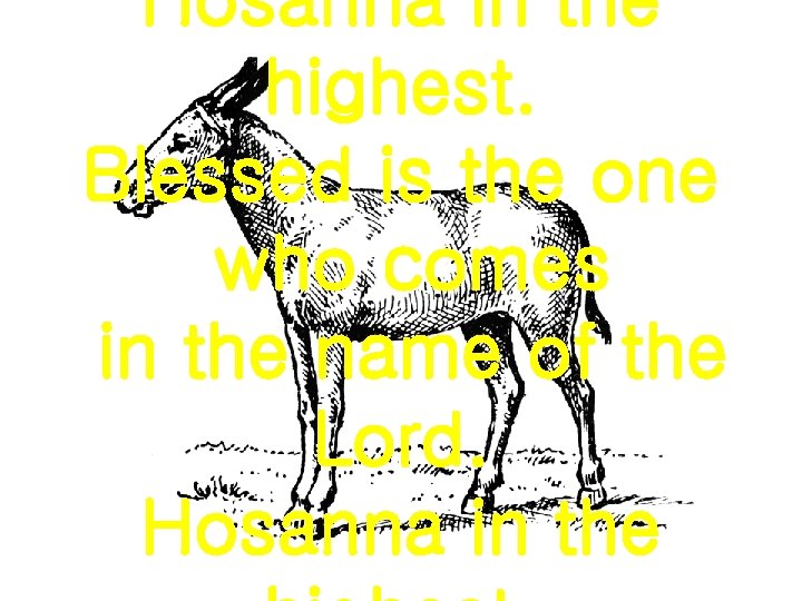 Hosanna in the highest. Blessed is the one who comes in the name of