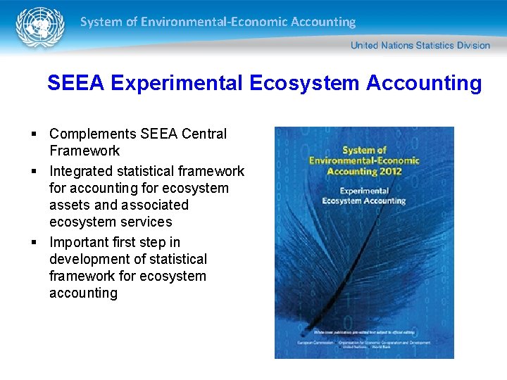 System of Environmental-Economic Accounting SEEA Experimental Ecosystem Accounting § Complements SEEA Central Framework § System of Environmental-Economic Accounting SEEA Experimental Ecosystem Accounting § Complements SEEA Central Framework §