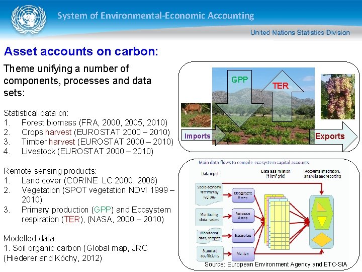 System of Environmental-Economic Accounting Asset accounts on carbon: Theme unifying a number of components, System of Environmental-Economic Accounting Asset accounts on carbon: Theme unifying a number of components,