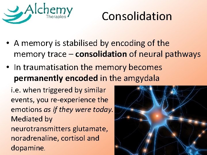 Consolidation • A memory is stabilised by encoding of the memory trace – consolidation