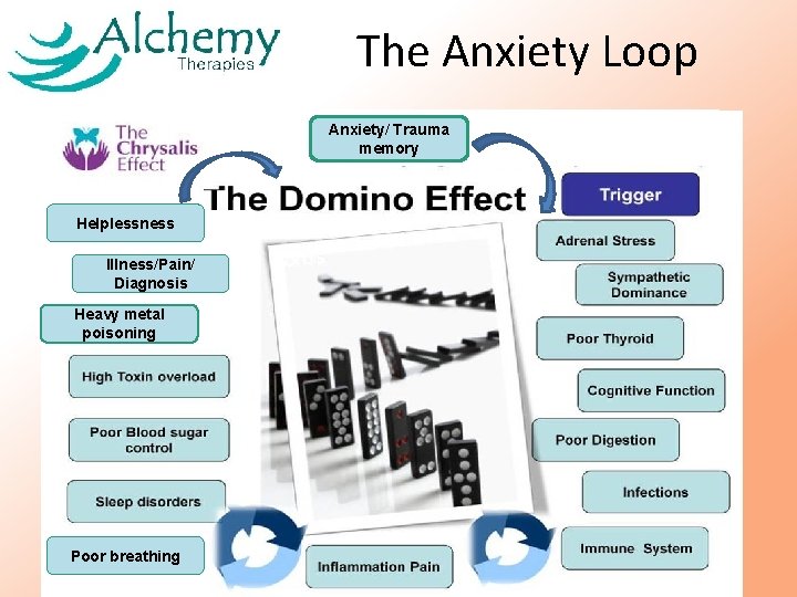 The Anxiety Loop Anxiety/ Trauma memory Helplessness Illness/Pain/ Diagnosis Heavy metal poisoning Poor breathing