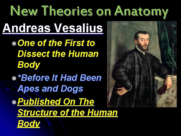 New Theories on Anatomy Andreas Vesalius l One of the First to Dissect the