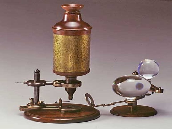 Hooke’s Microscope 