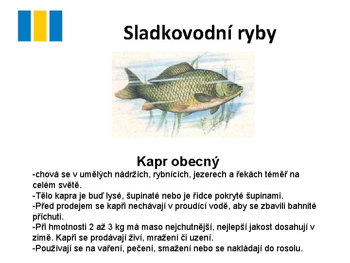 Sladkovodní ryby Kapr obecný -chová se v umělých nádržích, rybnících, jezerech a řekách téměř