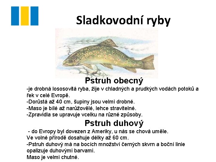Sladkovodní ryby Pstruh obecný -je drobná lososovitá ryba, žije v chladných a prudkých vodách