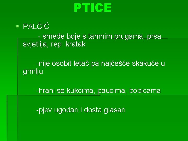 PTICE § PALČIĆ - smeđe boje s tamnim prugama, prsa svjetlija, rep kratak -nije