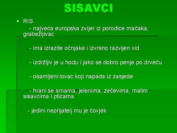 SISAVCI § RIS - najveća europska zvijer iz porodice mačaka, grabežljivac - ima izrazite