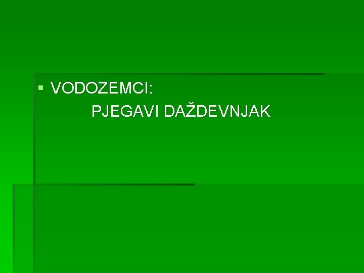 § VODOZEMCI: PJEGAVI DAŽDEVNJAK 