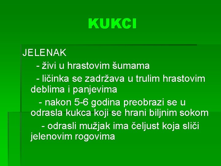 KUKCI JELENAK - živi u hrastovim šumama - ličinka se zadržava u trulim hrastovim