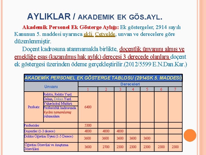 AYLIKLAR / AKADEMIK EK GÖS. AYL. Akademik Personel Ek Gösterge Aylığı: Ek göstergeler, 2914