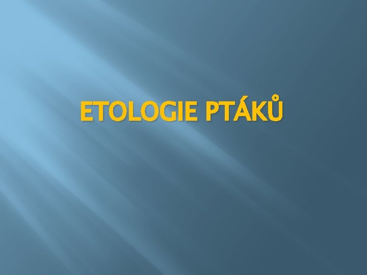 ETOLOGIE PTÁKŮ 