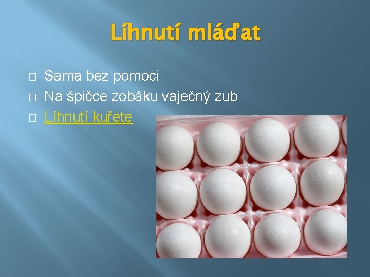 Líhnutí mláďat � � � Sama bez pomoci Na špičce zobáku vaječný zub Líhnutí