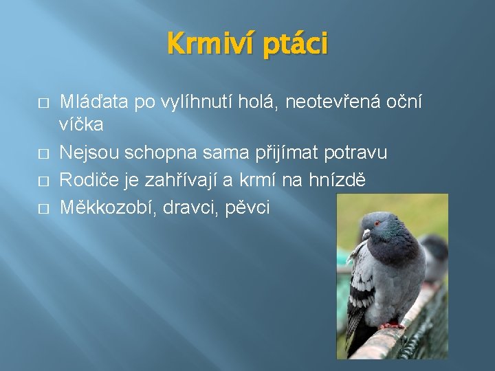 Krmiví ptáci � � Mláďata po vylíhnutí holá, neotevřená oční víčka Nejsou schopna sama