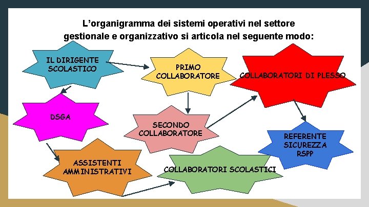 L’organigramma dei sistemi operativi nel settore gestionale e organizzativo si articola nel seguente modo: