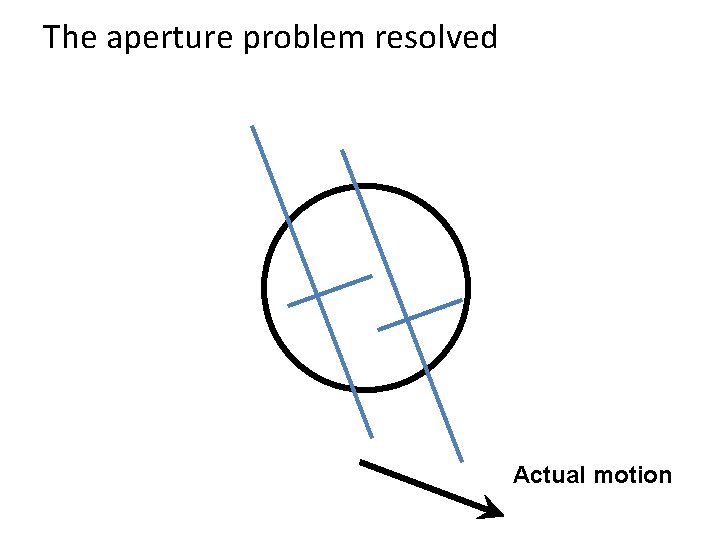 The aperture problem resolved Actual motion 