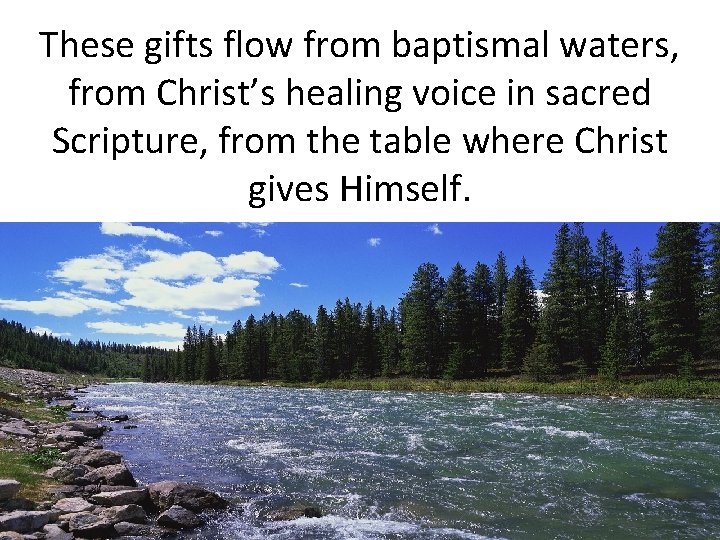 These gifts flow from baptismal waters, from Christ’s healing voice in sacred Scripture, from