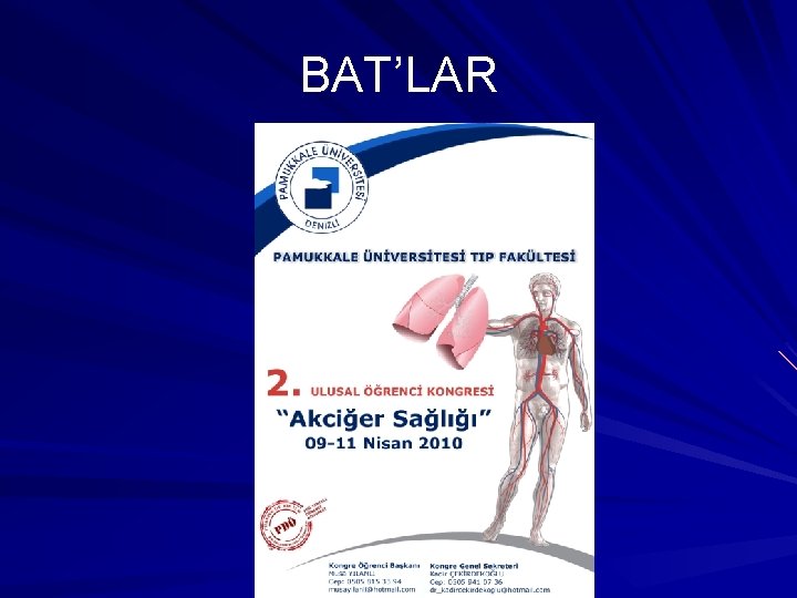 BAT’LAR BAT’LAR