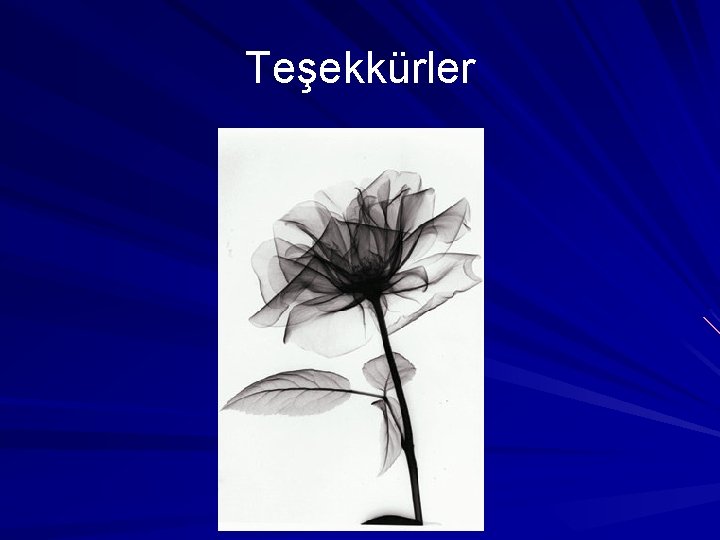 Teşekkürler Teşekkürler