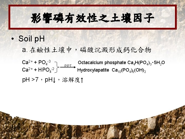 影響磷有效性之土壤因子 • Soil p. H a. 在鹼性土壤中，磷酸沉澱形成鈣化合物 Ca 2+ + PO 4 -3 Ca