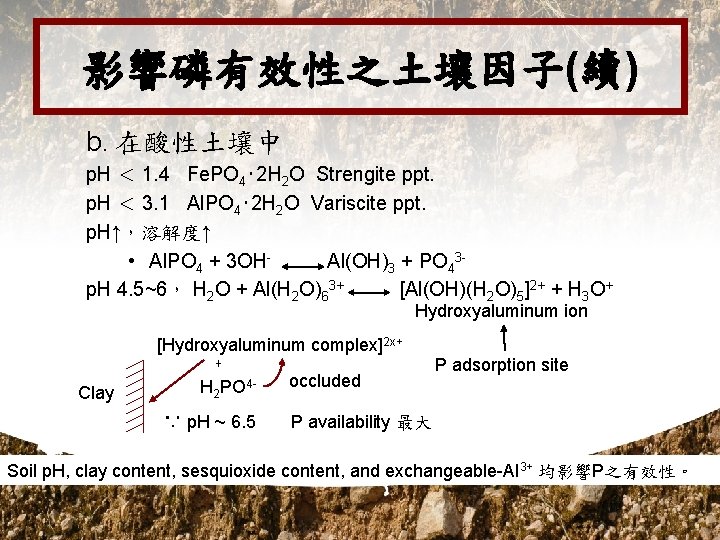 影響磷有效性之土壤因子(續) b. 在酸性土壤中 p. H ＜ 1. 4 Fe. PO 4‧ 2 H 2